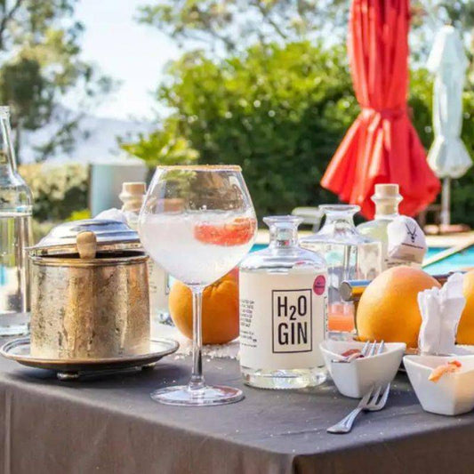 H2O Gin - Featured