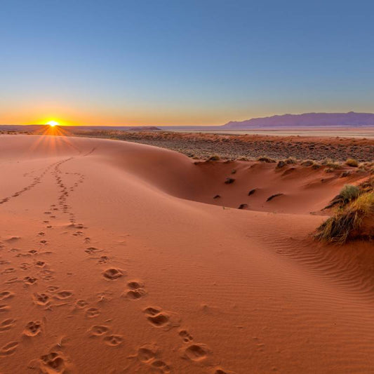 We cannot forget the PAST when we build the FUTURE_Featured
