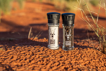 There's a Difference between Sea Salt & Desert Salt that's Invisible. You Should Know about it.