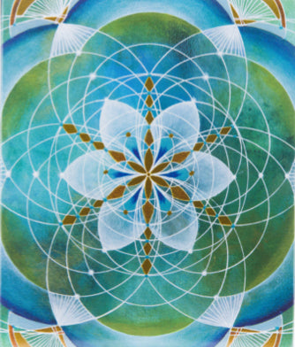 S820 - Pepper grinder & Refill gift - 2 unit large (x12)